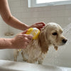 VelmiPaw™ Bath & Massage Brush